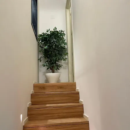 Fourteensuitetropea 펜션