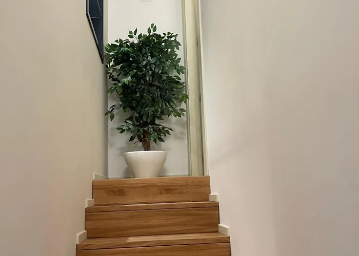 Fourteensuitetropea Casa vacanze